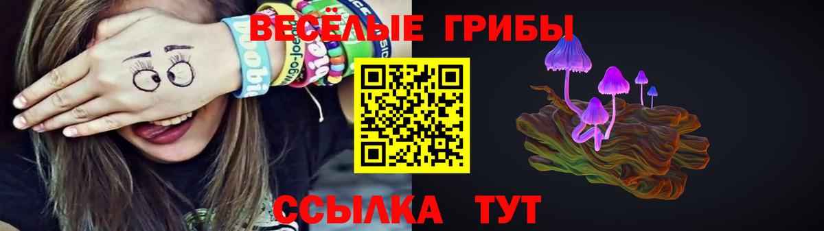 Галлюциногенные грибы GOLDEN TEACHER  Псилоцибиновые грибы мицелий  Люберцы  закладки  Вход с VPN 