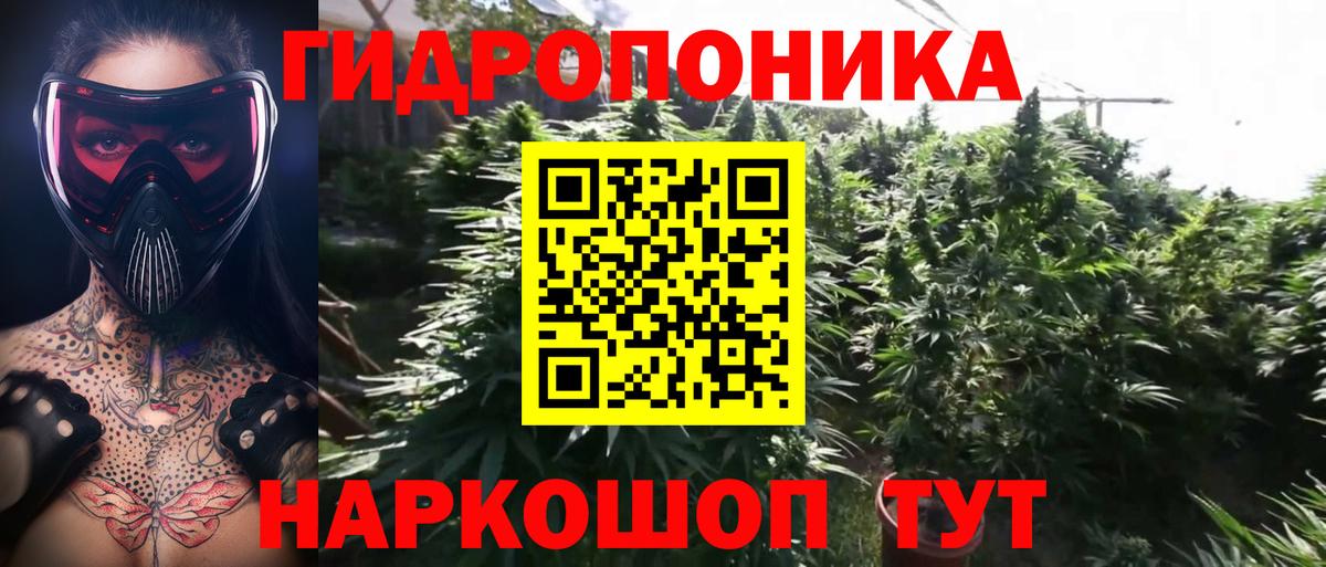 Шишки марихуана марихуана  Канабис гибрид  Люберцы  Вход с VPN  МАРИХУАНА MAZAR 